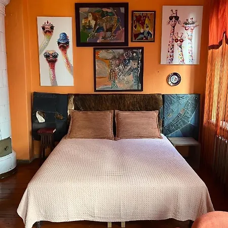 Vintage Studio In The Center Appartement